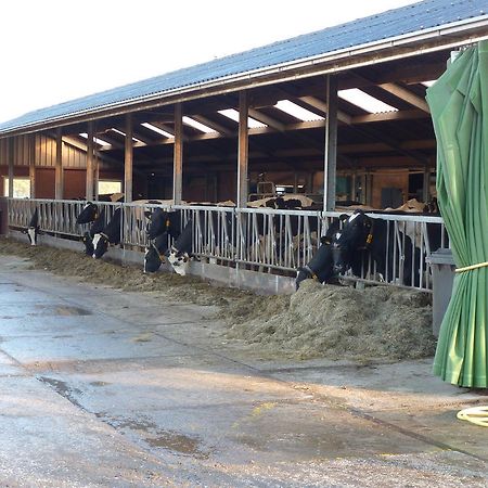 Goudriaan Boerderij "De Verwondering" المظهر الخارجي الصورة