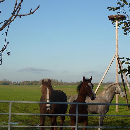 Goudriaan Boerderij "De Verwondering" المظهر الخارجي الصورة