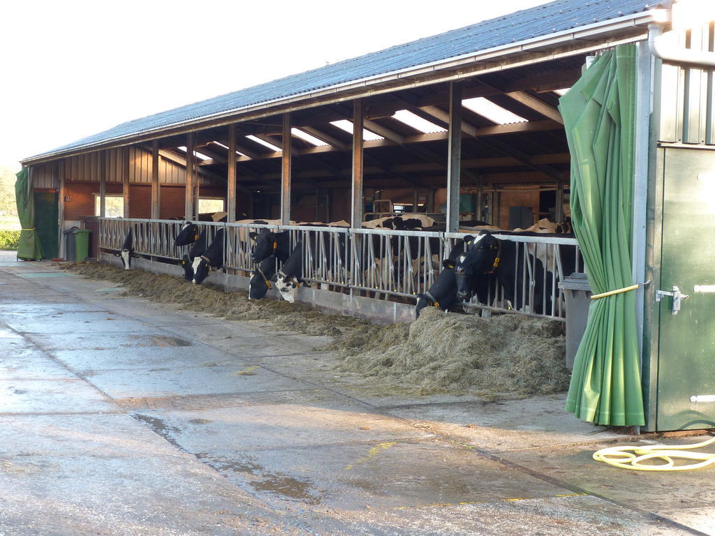 Goudriaan Boerderij "De Verwondering" المظهر الخارجي الصورة
