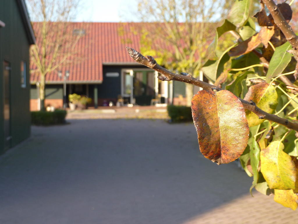 Goudriaan Boerderij "De Verwondering" المظهر الخارجي الصورة