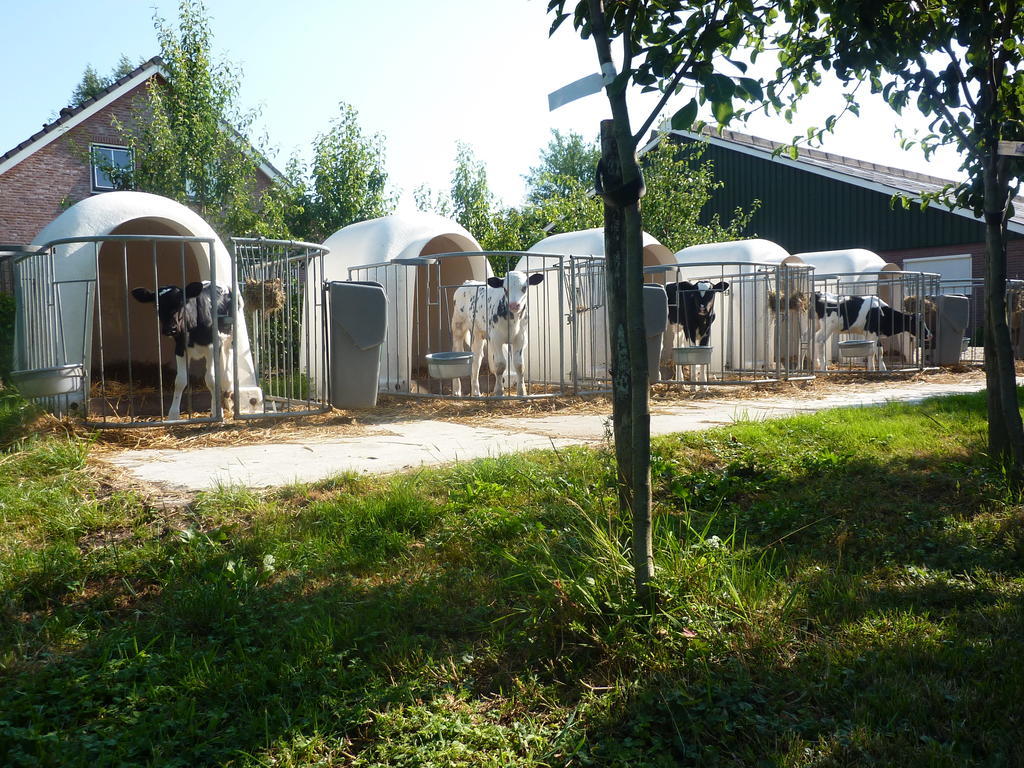 Goudriaan Boerderij "De Verwondering" المظهر الخارجي الصورة