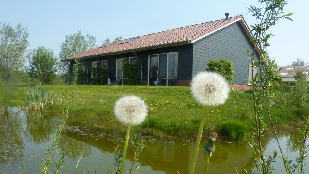 Goudriaan Boerderij "De Verwondering" المظهر الخارجي الصورة
